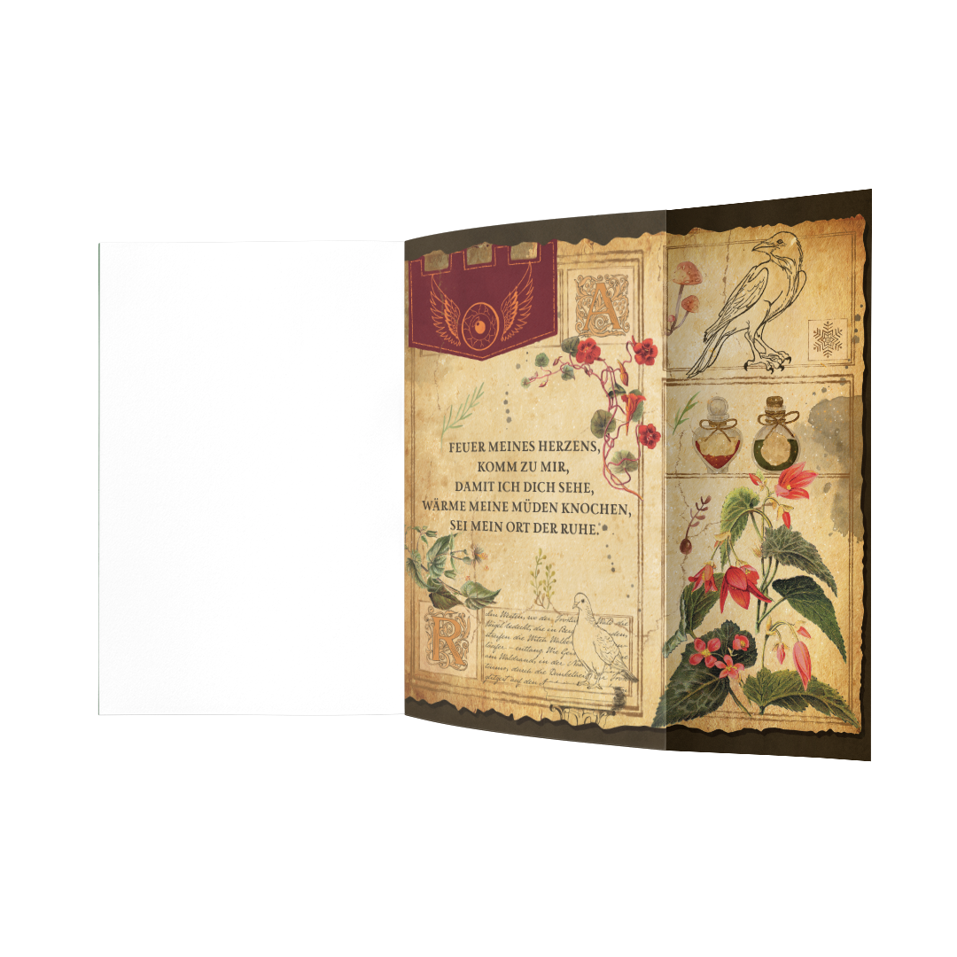 The Witch Collector EXKLUSIVAUSGABE